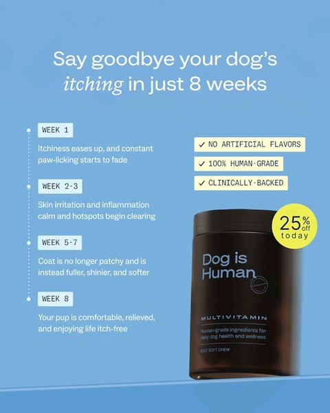 A vertical 4:5 ad creative featuring a product-centered visual with a bulleted, week-by-week progression of health benefits for dogs.